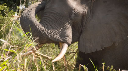 Explore Mozambique 1