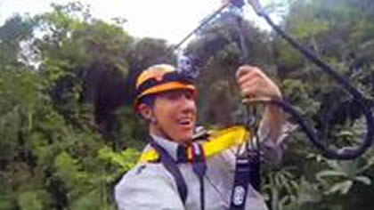 Flight of the Gibbon