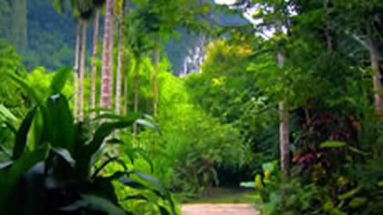 Elephant Hills Rainforest Camp