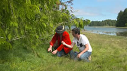 Foraging and food