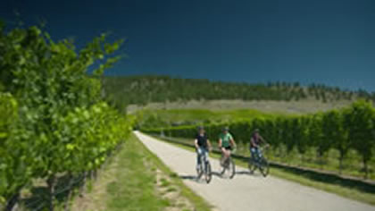 Bike Tour
