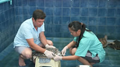 Mai Khao Marine Foundation