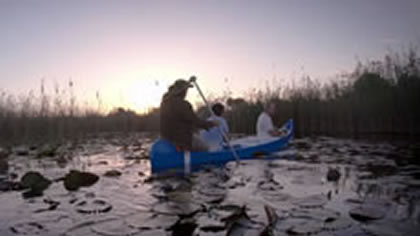 Waterlilies & Fireflies by South East Africa Safaris