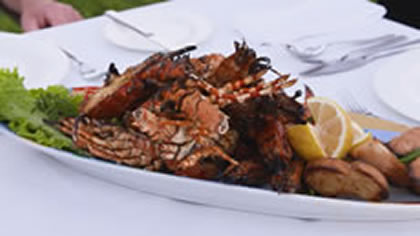 Food & Cuisine