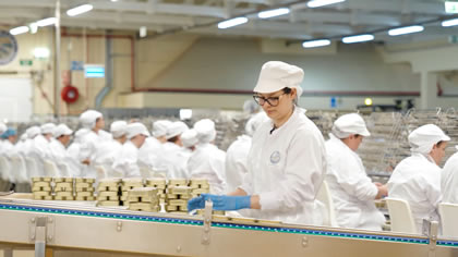 Fish Cannery