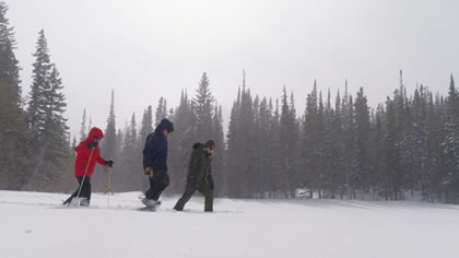 Snowshoeing in Estes Par